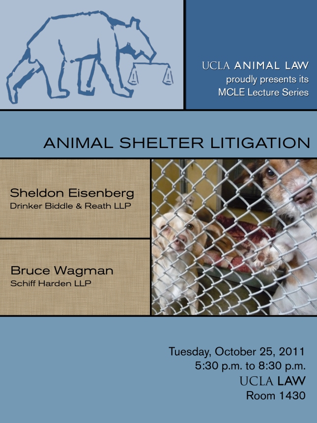 animal shelter litigation flyer